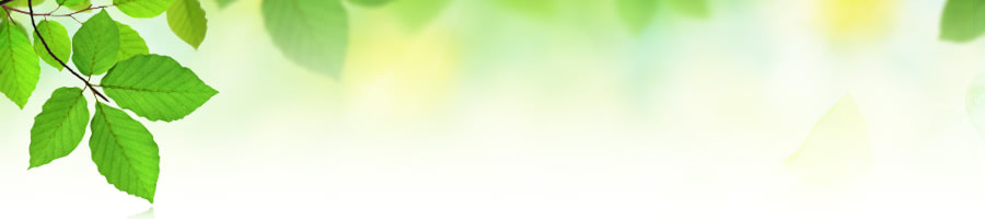 �I�����Ǝ����̕׋����@�͂���Ō��܂�I�b��́u���͂��������v�Ƃ�
